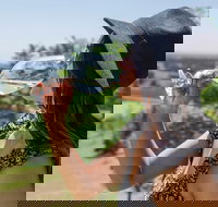 Scenic Hunter Valley Winery Tour with Boutique Wineries  Local Cheese - Events Australia