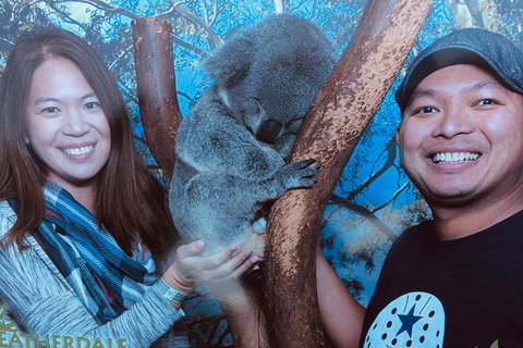 Blue Mountains Private Day Tour From Sydney With Wildlife Park And Cruise - Events Australia 1