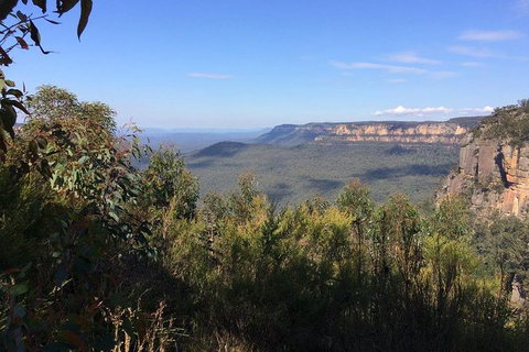 Blue Mountains Private Day Tour From Sydney With Wildlife Park And Cruise - Events Australia 3