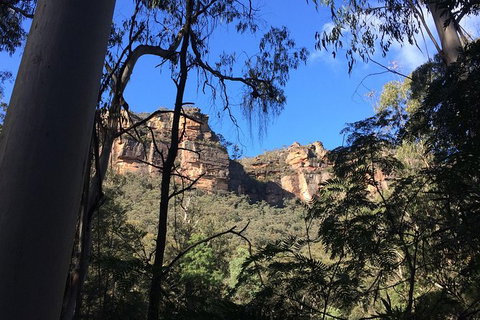 Blue Mountains Private Day Tour From Sydney With Wildlife Park And Cruise - Events Australia 10