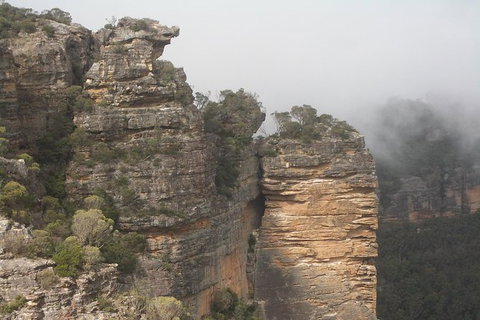 Blue Mountains Private Day Tour From Sydney With Wildlife Park And Cruise - Events Australia 5