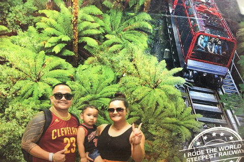 Blue Mountains Private Day Tour From Sydney With Wildlife Park And Cruise - Events Australia 4