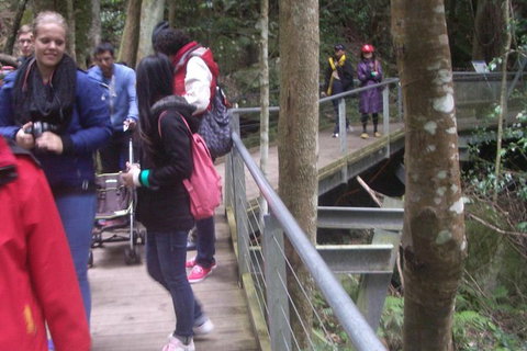 Blue Mountains Private Day Tour From Sydney With Wildlife Park And Cruise - Events Australia 8