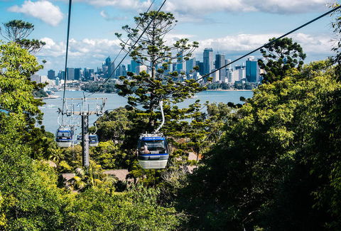 Sydney Taronga Zoo General Entry Ticket And Wild Australia Experience - Tourism Bookings 13