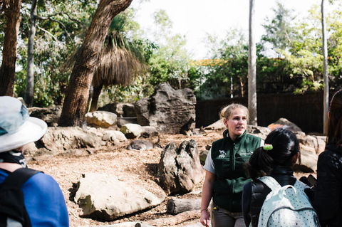 Sydney Taronga Zoo General Entry Ticket And Wild Australia Experience - Tourism Bookings 8