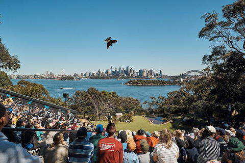Sydney Taronga Zoo General Entry Ticket And Wild Australia Experience - Tourism Bookings 18