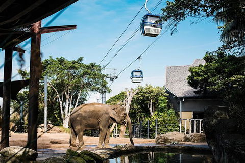 Sydney Taronga Zoo General Entry Ticket And Wild Australia Experience - Tourism Bookings 16