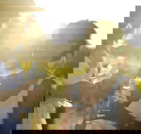 Hunter Valley Wine Tour from Sydney with Lunch and 3 Cellar Door Tastings