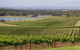 Hunter Valley Wine Tour From Sydney With Lunch And 3 Cellar Door Tastings - thumb 1