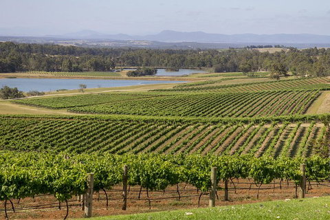 Hunter Valley Wine Tour From Sydney With Lunch And 3 Cellar Door Tastings - Events Australia 1
