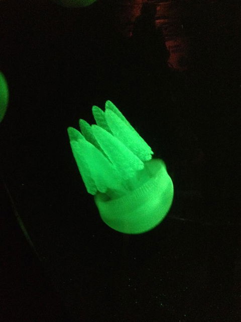 SEA LIFE Sydney Aquarium Entrance Ticket - Events Australia 2