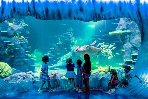 SEA LIFE Sydney Aquarium Entrance Ticket - Events Australia 0
