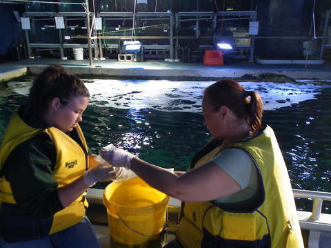 SEA LIFE Sydney Aquarium Entrance Ticket - Events Australia 14