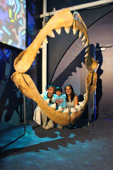 SEA LIFE Sydney Aquarium Entrance Ticket - Events Australia 6