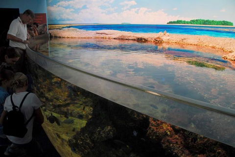 SEA LIFE Sydney Aquarium Entrance Ticket - Events Australia 24