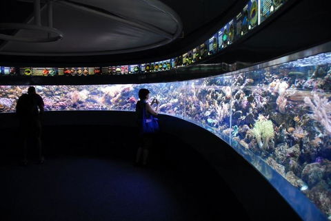 SEA LIFE Sydney Aquarium Entrance Ticket - Events Australia 23