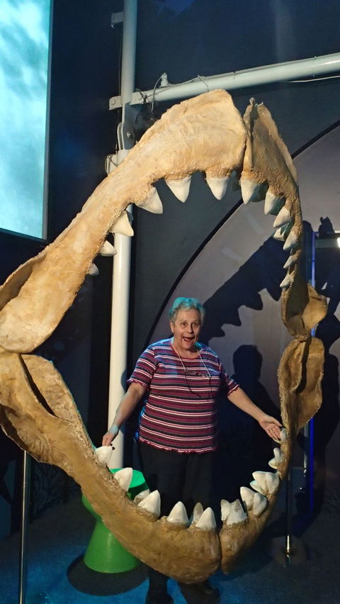 SEA LIFE Sydney Aquarium Entrance Ticket - Events Australia 3