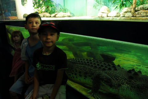 SEA LIFE Sydney Aquarium Entrance Ticket - Events Australia 22