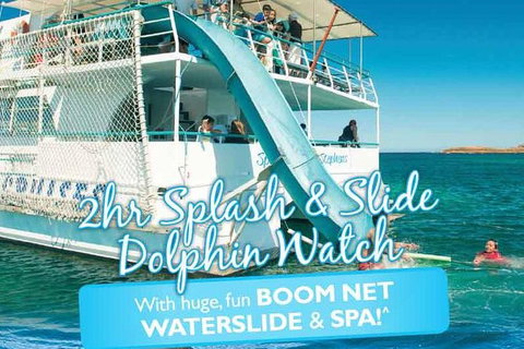 Port Stephens Dolphin Watching Cruise Including Splash And Slide - Accommodation Europe 0