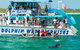Port Stephens Dolphin Watching Cruise Including Splash And Slide - thumb 1