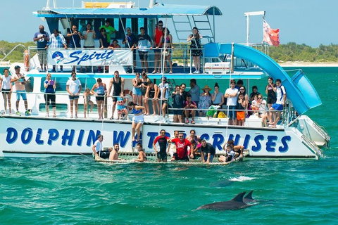 Port Stephens Dolphin Watching Cruise Including Splash And Slide - Accommodation Europe 1
