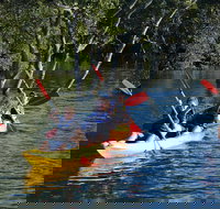 Kayak and SUP Guided Tours - Events Australia