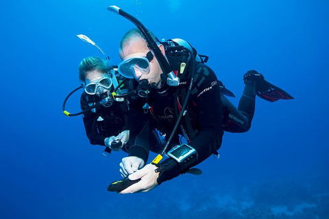 Sydney Guided Shore Dive - Events Australia 3