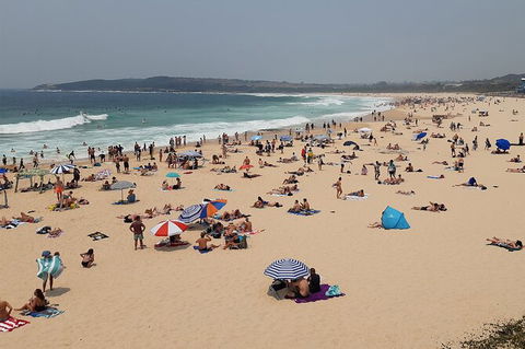 Experience The Real Sydney With Our Signature Tour - Events Australia 7