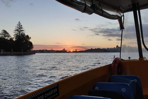 Yellow Water Taxis - Sydney Harbour Sunset Cruise - Events Australia 1