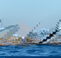 Small-Group Luxury Sydney Whale Watching Cruise