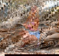 Hunter Valley Wine and Wildlife Reserve Tour from Sydney