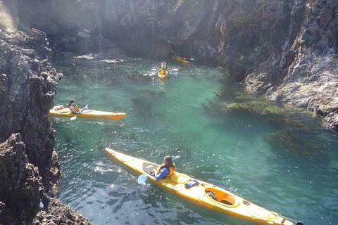 Batemans Bay Full Day Sea Kayak Tour With Beach Picnic Lunch - Events Australia 5