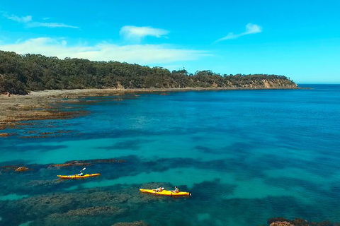 Batemans Bay Full Day Sea Kayak Tour With Beach Picnic Lunch - Events Australia 7