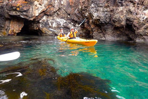 Batemans Bay Full Day Sea Kayak Tour With Beach Picnic Lunch - Events Australia 2