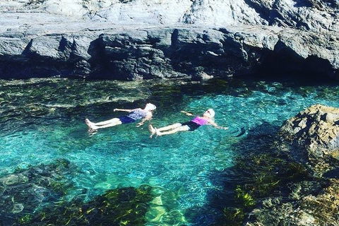 Batemans Bay Full Day Sea Kayak Tour With Beach Picnic Lunch - Events Australia 6