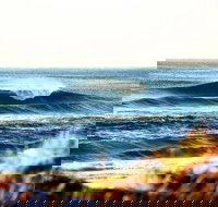 7-Day Byron Bay Evans Head and Moonee Beach Surf Safari from Brisbane Gold Coast or Byron Bay - Events Australia