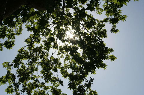 Sydney Photography Tour In The Historic Rocks Area - Events Australia 4