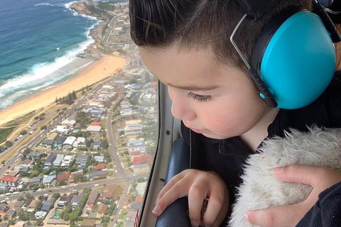 Sydney Harbour Scenic Flight - Tourism Bookings 6