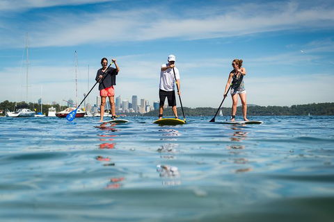 Stand Up Paddle On Sydney Harbour From Watsons Bay - Events Australia 0