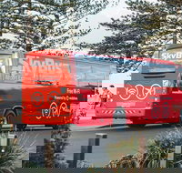 SkyBus Byron Bay Express - Events Australia