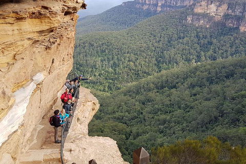Hike Into The Wild Blue Mountains - Tourism Bookings 0