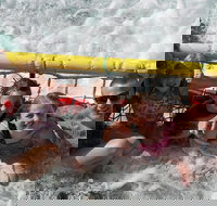 Jervis Bay Boom Netting and Dolphins Tour - Events Australia