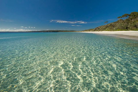 Jervis Bay South Coast Day Trip From Sydney - Cycling - Events Australia 0