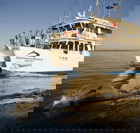Jervis Bay Dolphin Watch Cruise - Events Australia