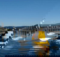 Batemans Bay Oyster Tasting Kayak Tour - Events Australia