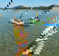 Batemans Bay Glass-Bottom Kayak Tour Over 2 Relaxing Hours - Events Australia