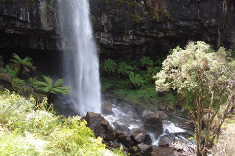 Bindaree Falls - Events Australia 1