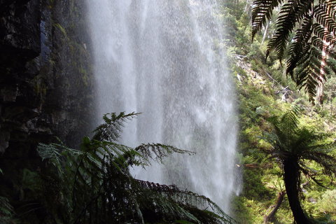 Bindaree Falls - Events Australia 2