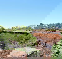 Bladensburg National Park - Events Australia