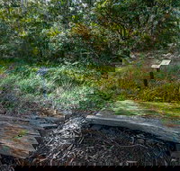 Browns Forest Loop Trail - Events Australia